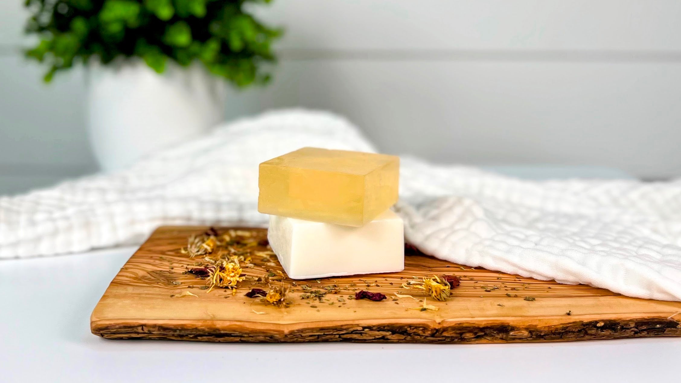 Bar & Liquid Soap