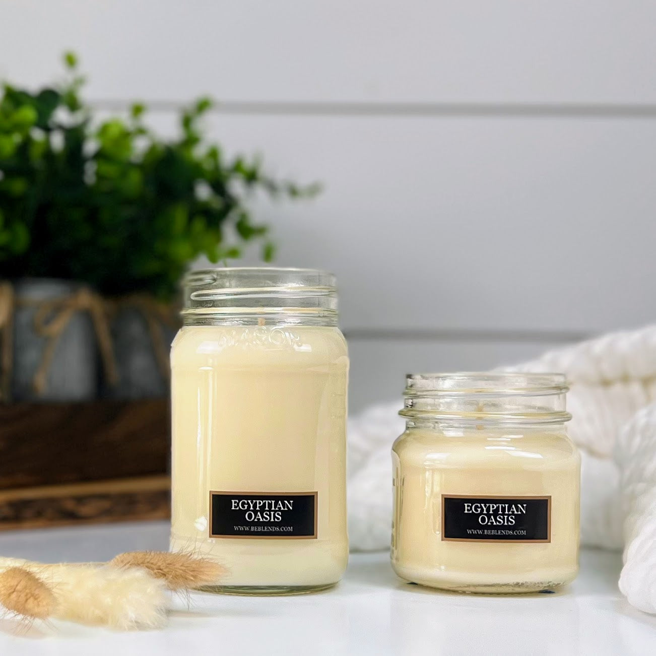 Egyptian Oasis Soy Candles and Wax Melts - DISCONTINUED