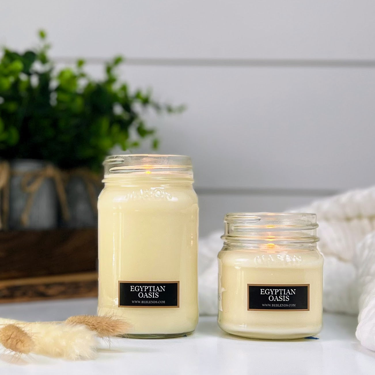 Egyptian Oasis Soy Candles and Wax Melts - DISCONTINUED