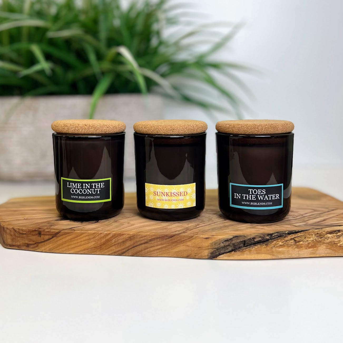 Summer Flight Soy Candle Bundle
