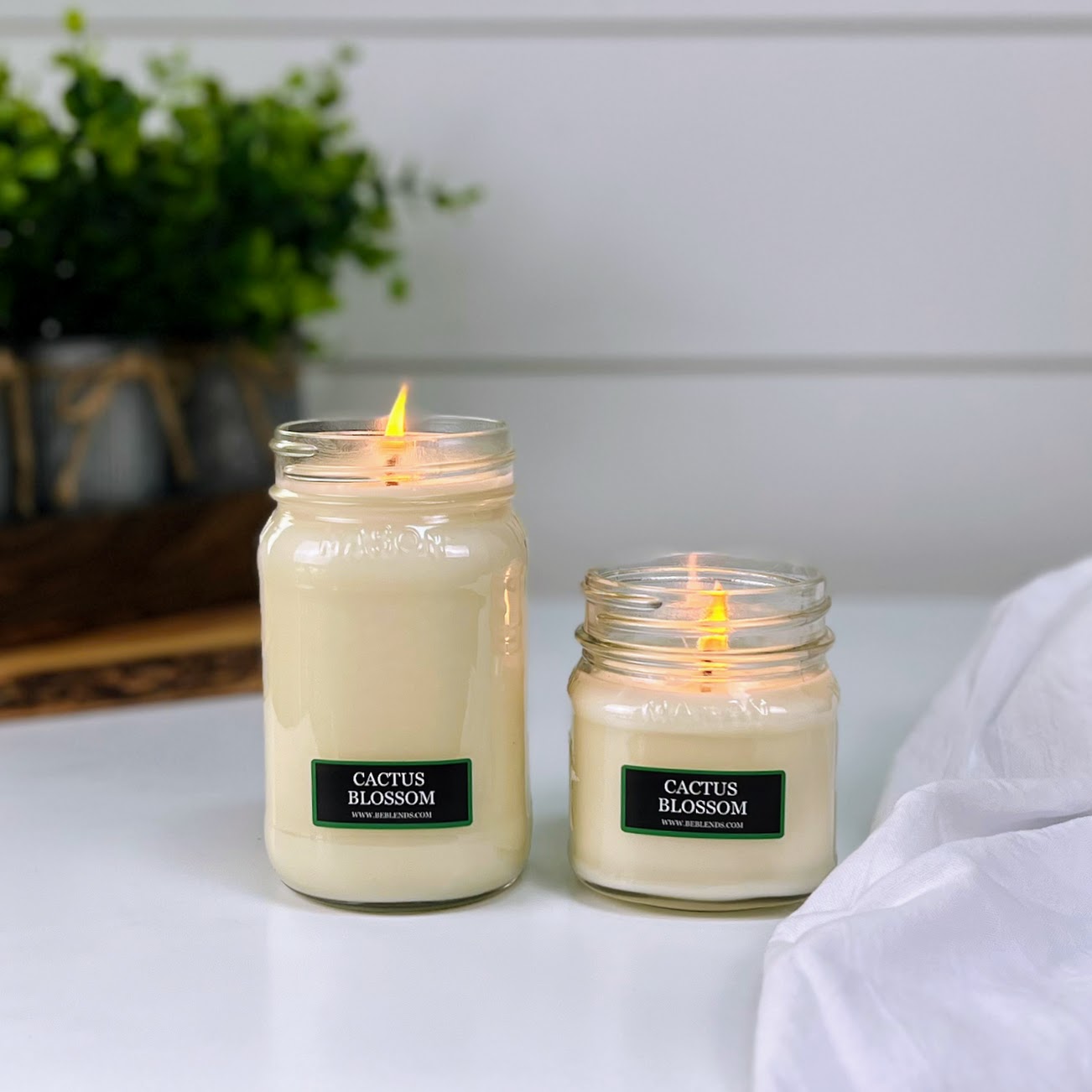 Cactus Blossom Soy Candles and Wax Melts