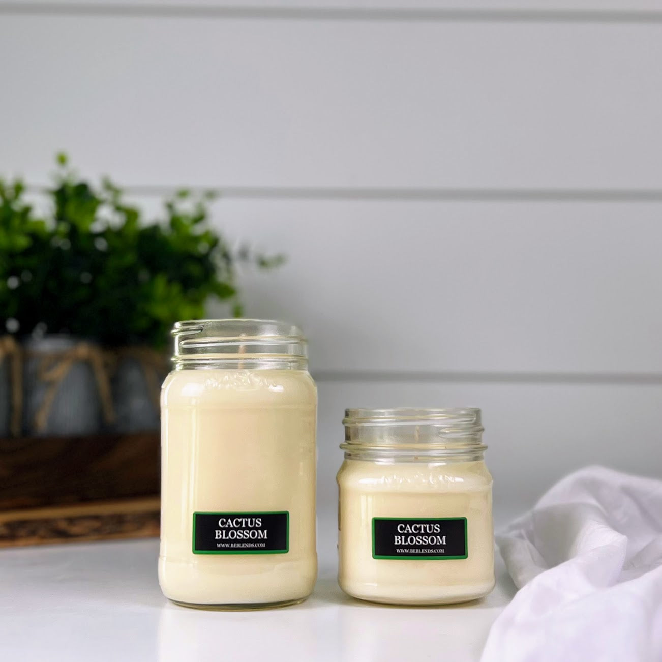 Cactus Blossom Soy Candles and Wax Melts