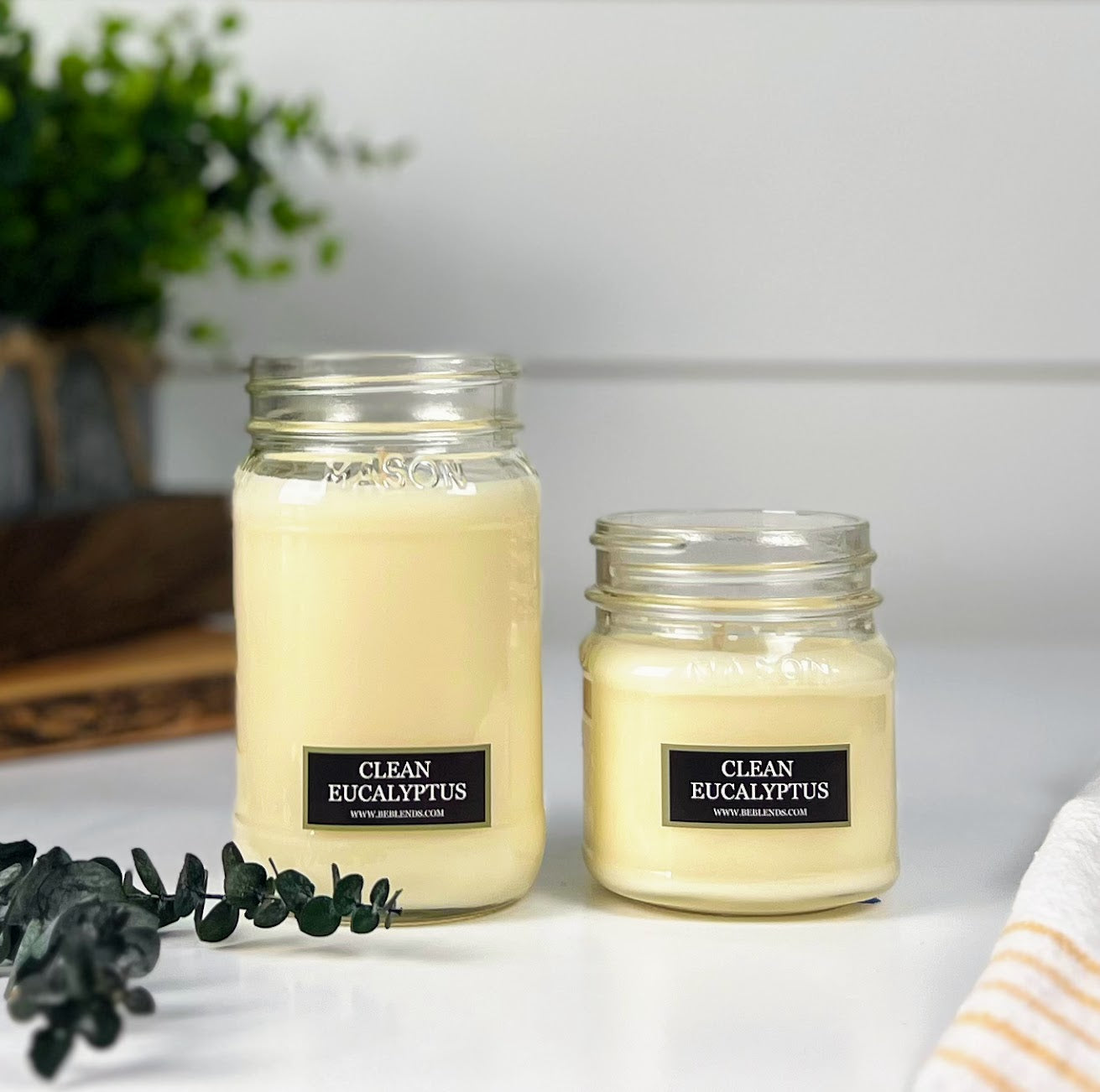 Clean Eucalyptus Soy Candles and Wax Melts