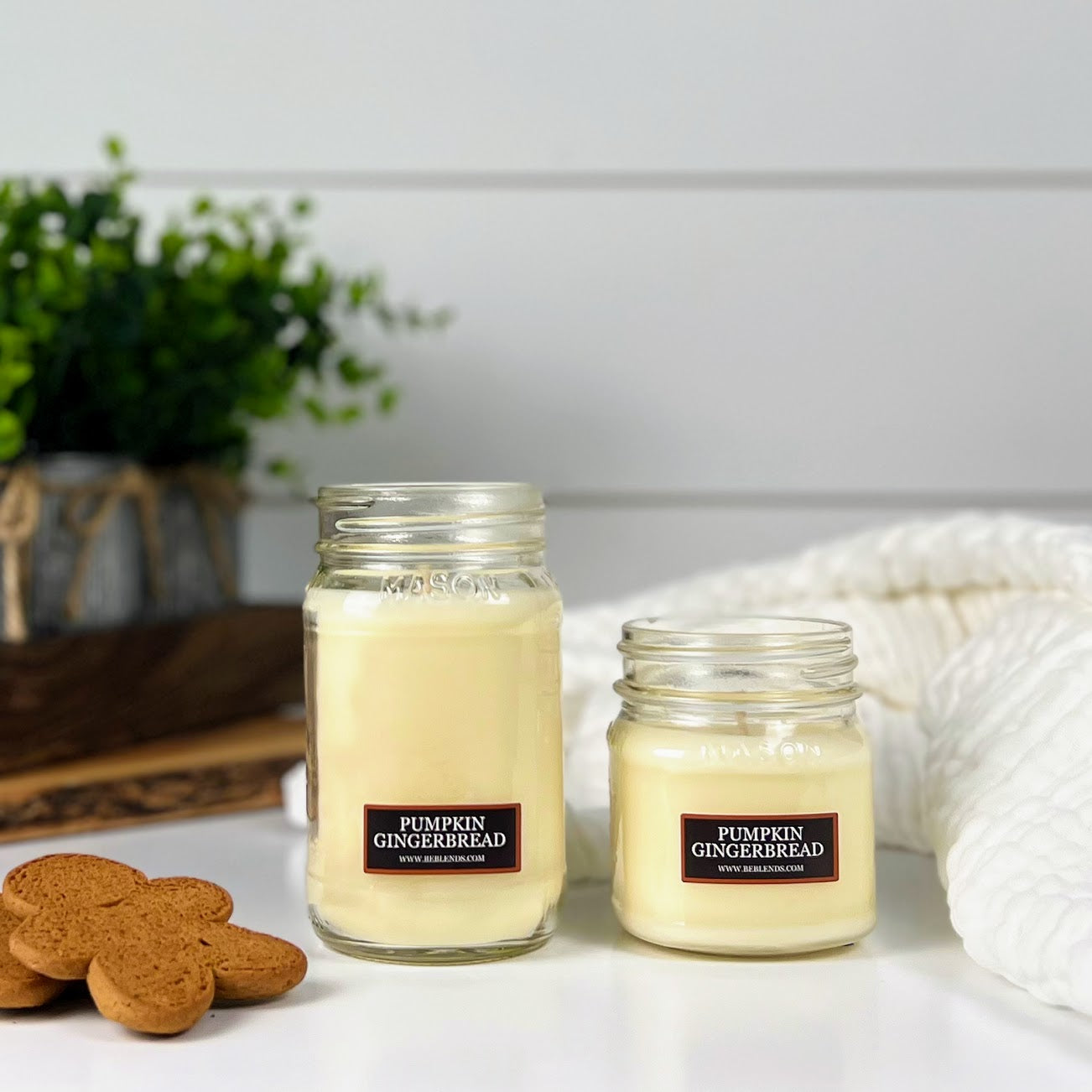 Pumpkin Gingerbread Soy Candles and Wax Melts