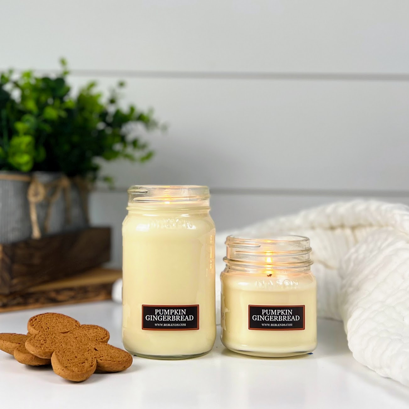 Pumpkin Gingerbread Soy Candles and Wax Melts