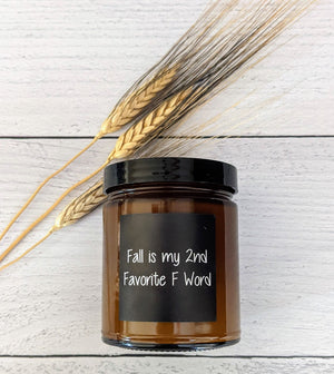 2nd Favorite F Word Snarky Amber Tumbler Soy Candle